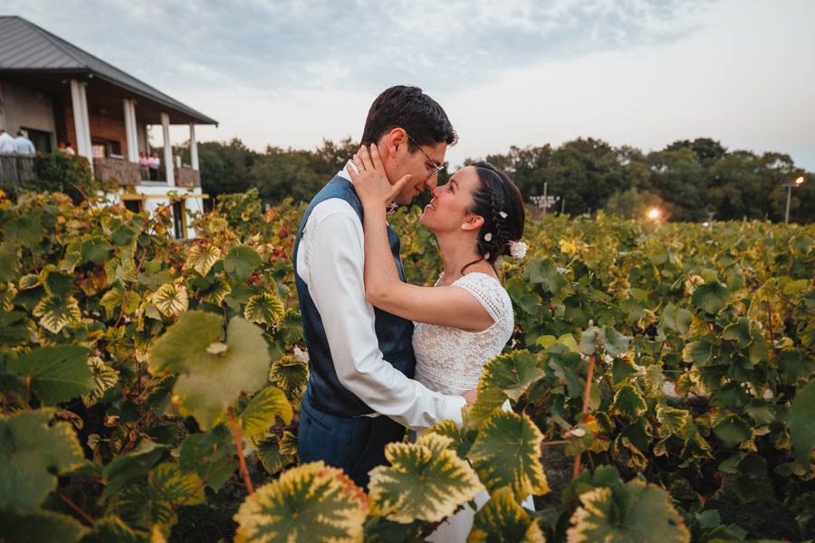 Les mariés s'embrassent dans les vignes pour les photos de leur photographe de mariage en Vendée
